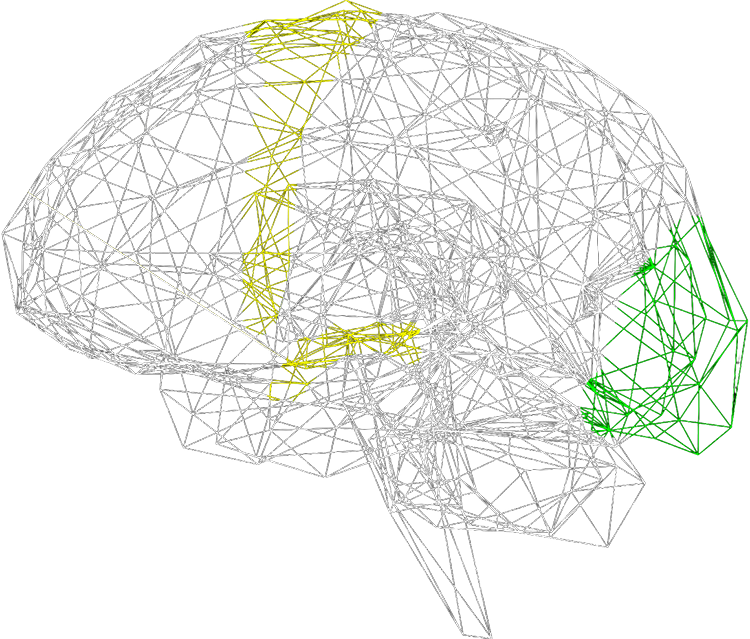 brain platform